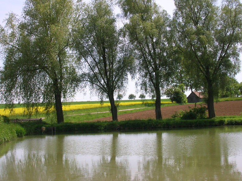 image20