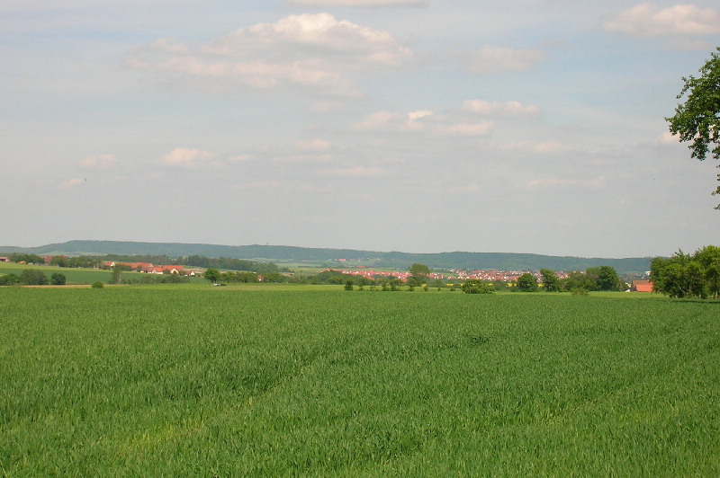 image22