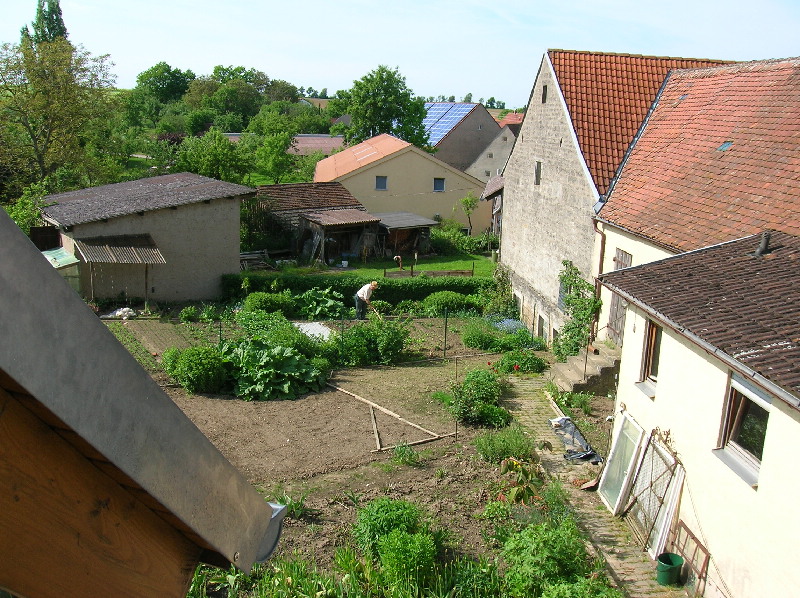 image24