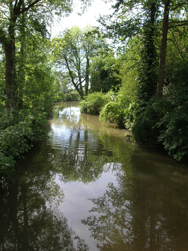 image45