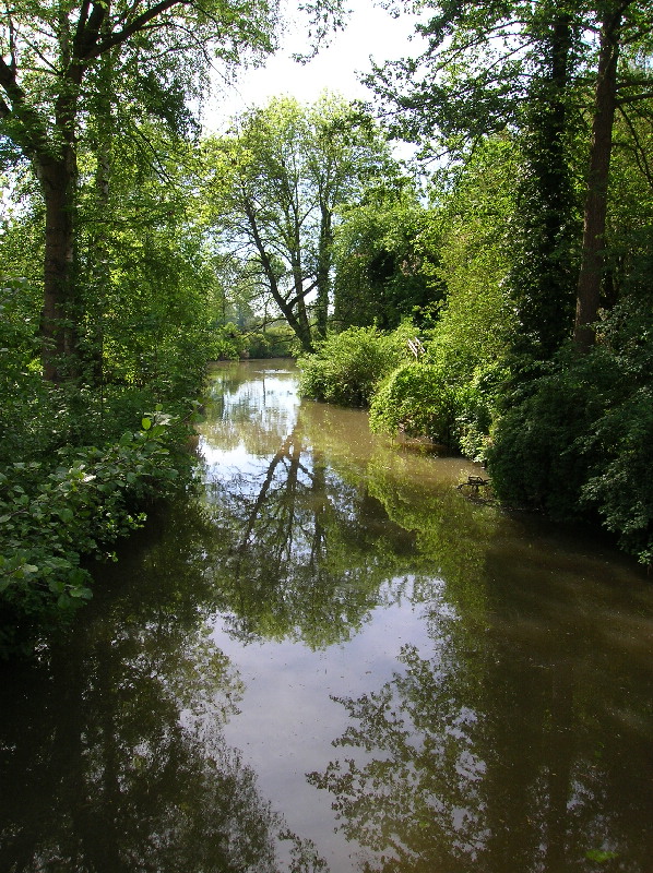 image47